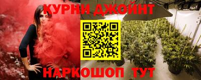 тгк Славгород