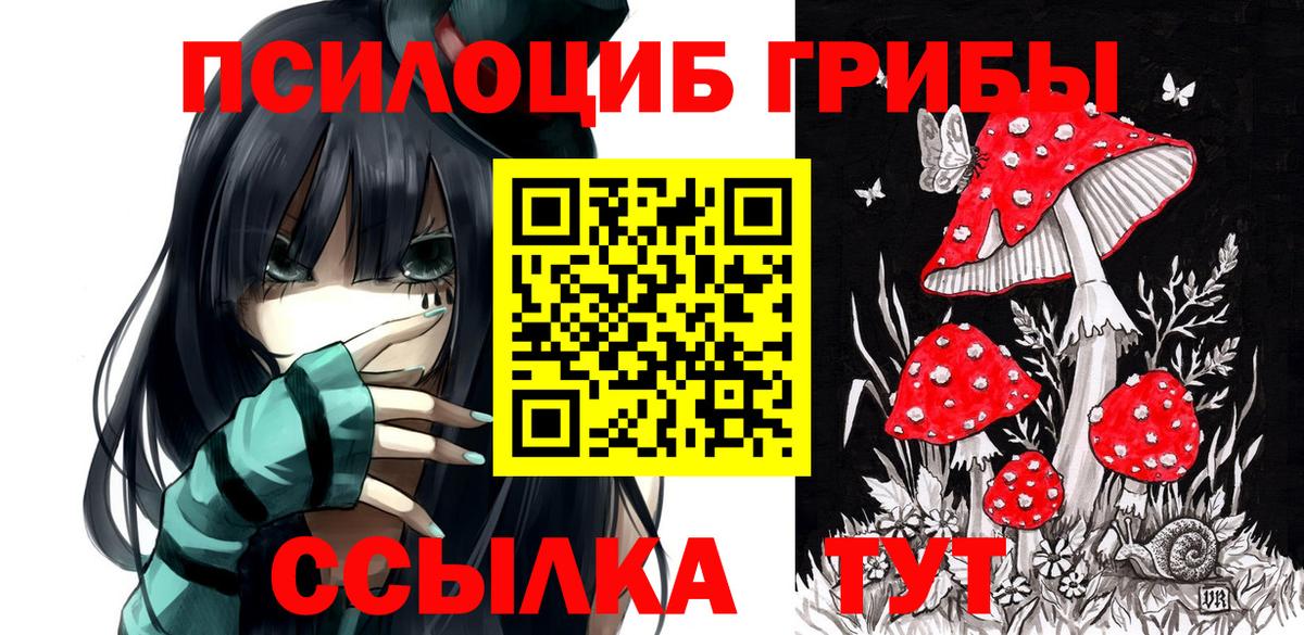 Галлюциногенные грибы Cubensis  Вход с VPN  Псилоцибиновые грибы Psilocybine cubensis  Вятские Поляны 